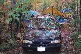 Autumn at tent site #35.